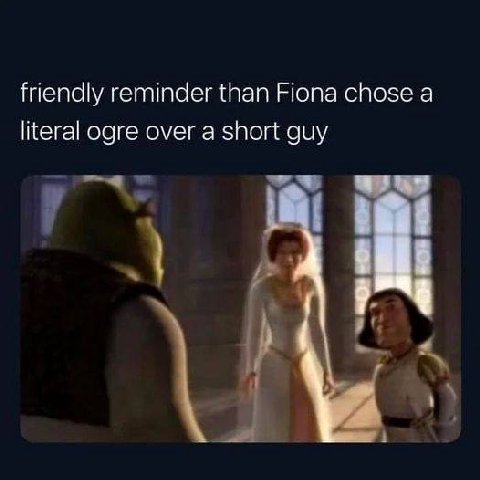 friendly reminder than Fiona chose а literal ogre over a short guy