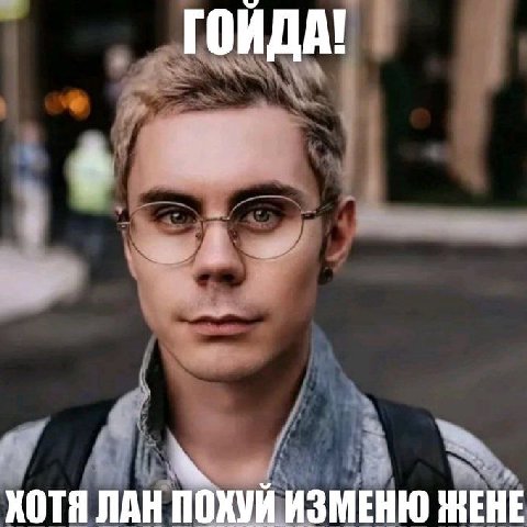 ГОЙДА! ХОТЯ ЛАН ПОХУЙ ИЗМЕНЮ ЖЕНЕ
