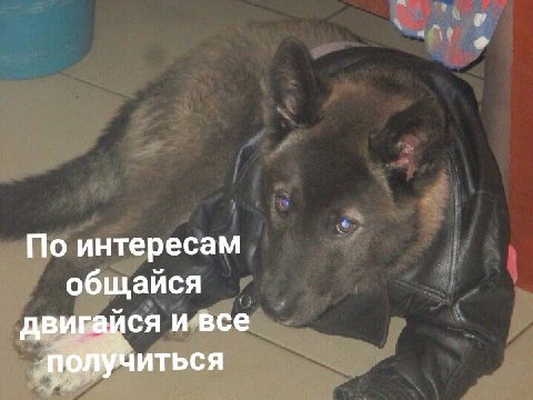 По интересам общайся двигайся и все получиться