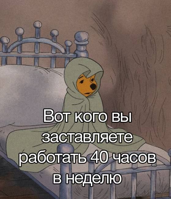Вот кого вы заставляете работать 40 часов в неделю