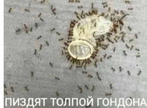 ПИЗДЯТ ТОЛПОЙ ГОНДОНА
