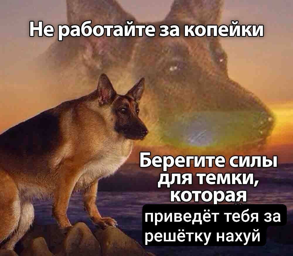 Не работайте за копейки Берегите силы для темки, которая приведёт тебя за решетку нахуй