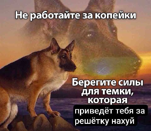 Не работайте за копейки Берегите силы для темки, которая приведёт тебя за решетку нахуй