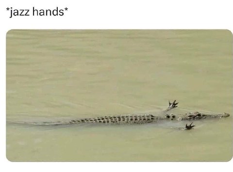 *jazz hands*