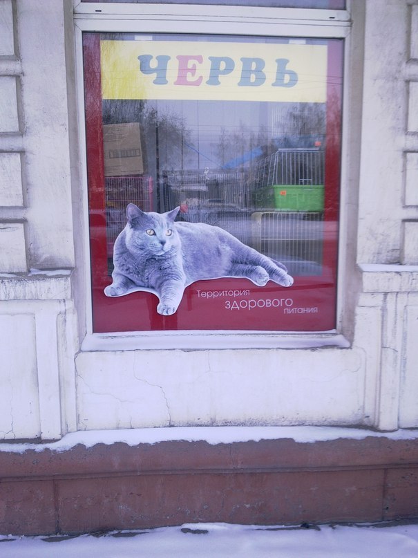 Территория здорового