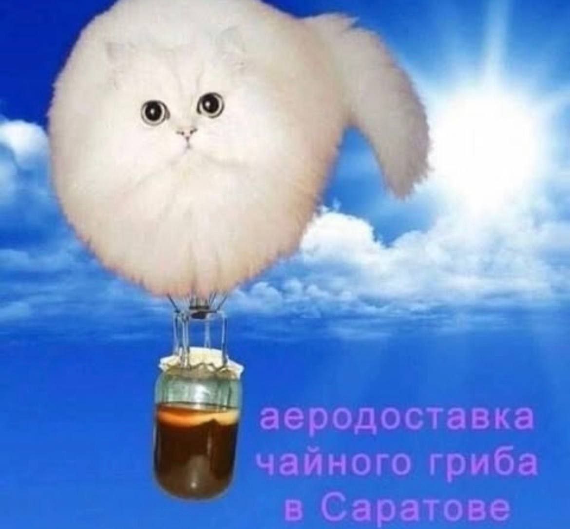 |1