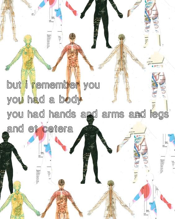 i remem you you had a body 2 arms aad legs you had hands a and