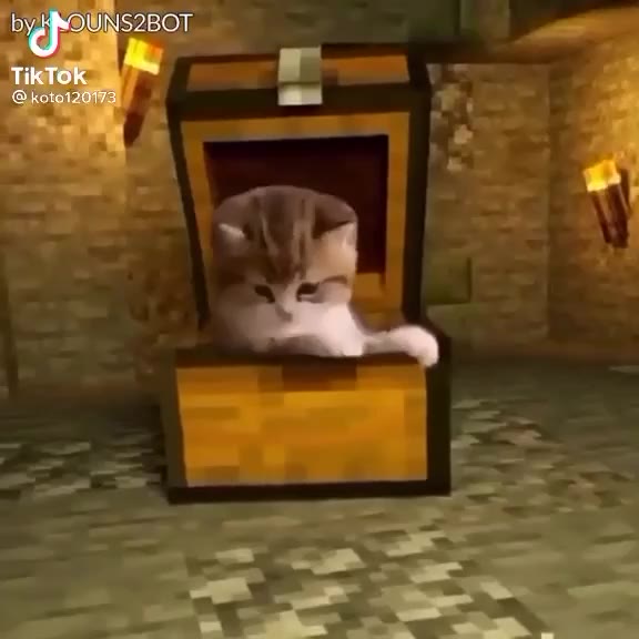 NS2BOT TikTok a a