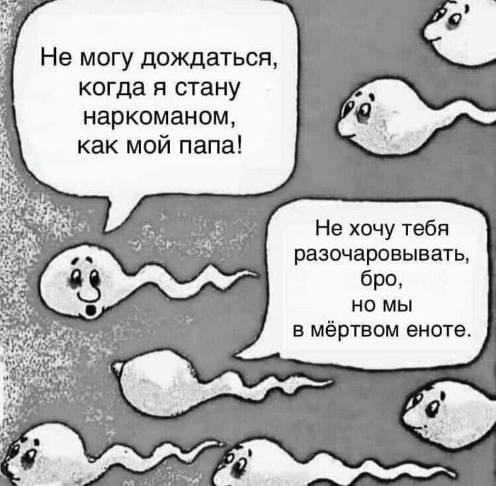 Не могу дождаться, когда я стану наркоманом, как мой папа! Не хочу тебя разочаровывать, бро, мы в мёртвом еноте.