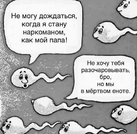 Не могу дождаться, когда я стану наркоманом, как мой папа! Не хочу тебя разочаровывать, бро, мы в мёртвом еноте.