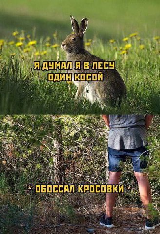 A В ЛЕСУ. КОСОИ 5 и 4 ОБОССАЛ КРОСОВКИ