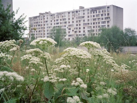 1 wee В fis 7 A 4 я в