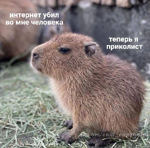 интернет убил во мне человека теперь я приколист "1