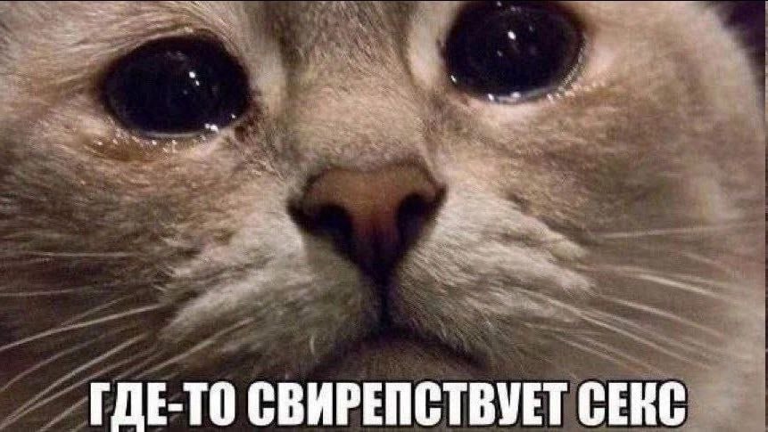 ГДЕ-ТО СВИРЕПСТВУЕТ СЕКС
