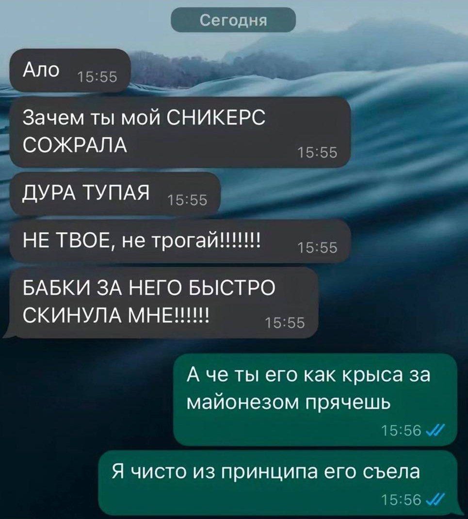 я Ало Зачем ты мой СНИКЕРС СОЖРАЛА ДУРА ТУПАЯ НЕ ТВОЕ, не трогай!!! БАБКИ ЗА НЕГО БЫСТРО СКИНУЛА МНЕ!!! А че ты его как крыса за майонезом прячешь Я чисто из принципа его съела