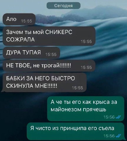 я Ало Зачем ты мой СНИКЕРС СОЖРАЛА ДУРА ТУПАЯ НЕ ТВОЕ, не трогай!!! БАБКИ ЗА НЕГО БЫСТРО СКИНУЛА МНЕ!!! А че ты его как крыса за майонезом прячешь Я чисто из принципа его съела