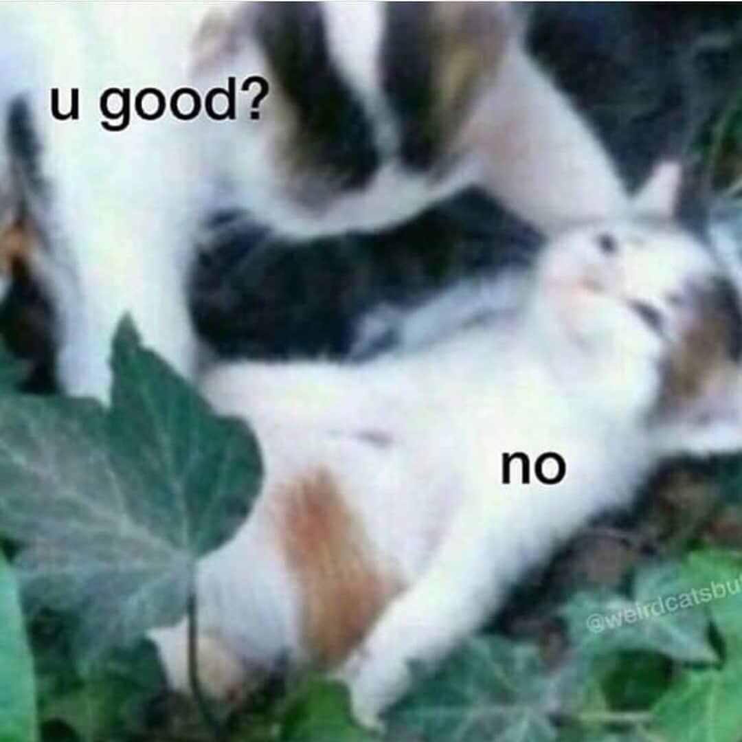 и good no