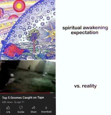 oF За: spiritual awakening expectation reality Top 5 Gnomes Caught on Tape