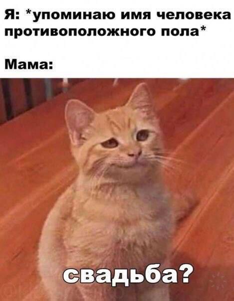 Я: *упоминаю имя человека противоположного пола* Мама: свадьба?