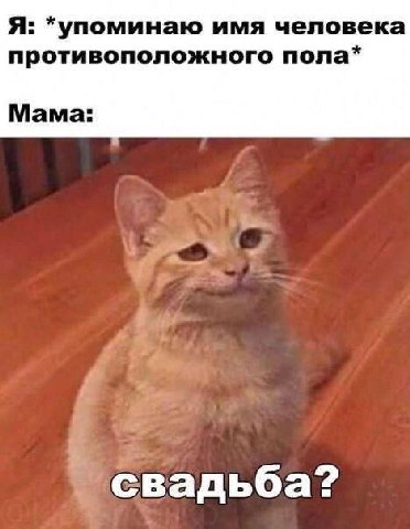 Я: *упоминаю имя человека противоположного пола* Мама: свадьба?