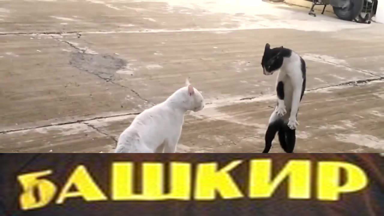 и