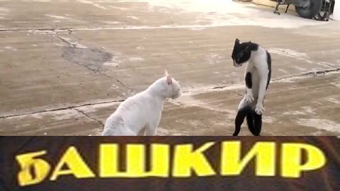 и