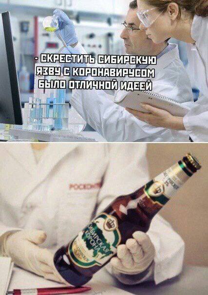 СКРЕСТИТЬ СИБИР ЕКУЮ СОМ ИДЕЕЙ 9 a—