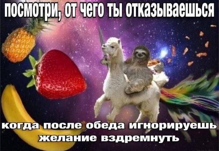 Посмотри, чего ты отказываешься у когда после обеда игнорируешь желание вздремнуть