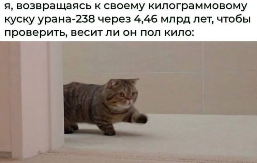 я, возвращаясь к своему килограммовому куску урана-238 через 4,46 млрд лет, чтобы проверить, весит ли он пол кило: