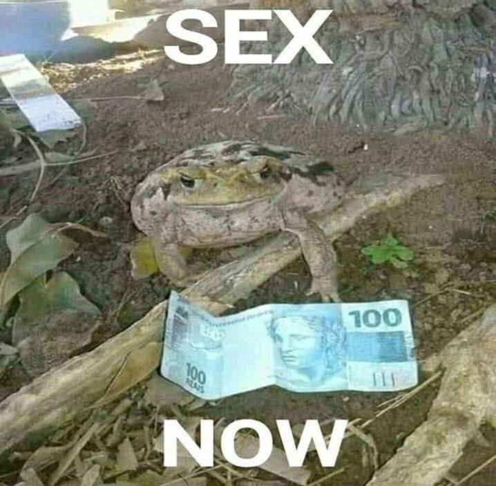 SEX 100 NOW