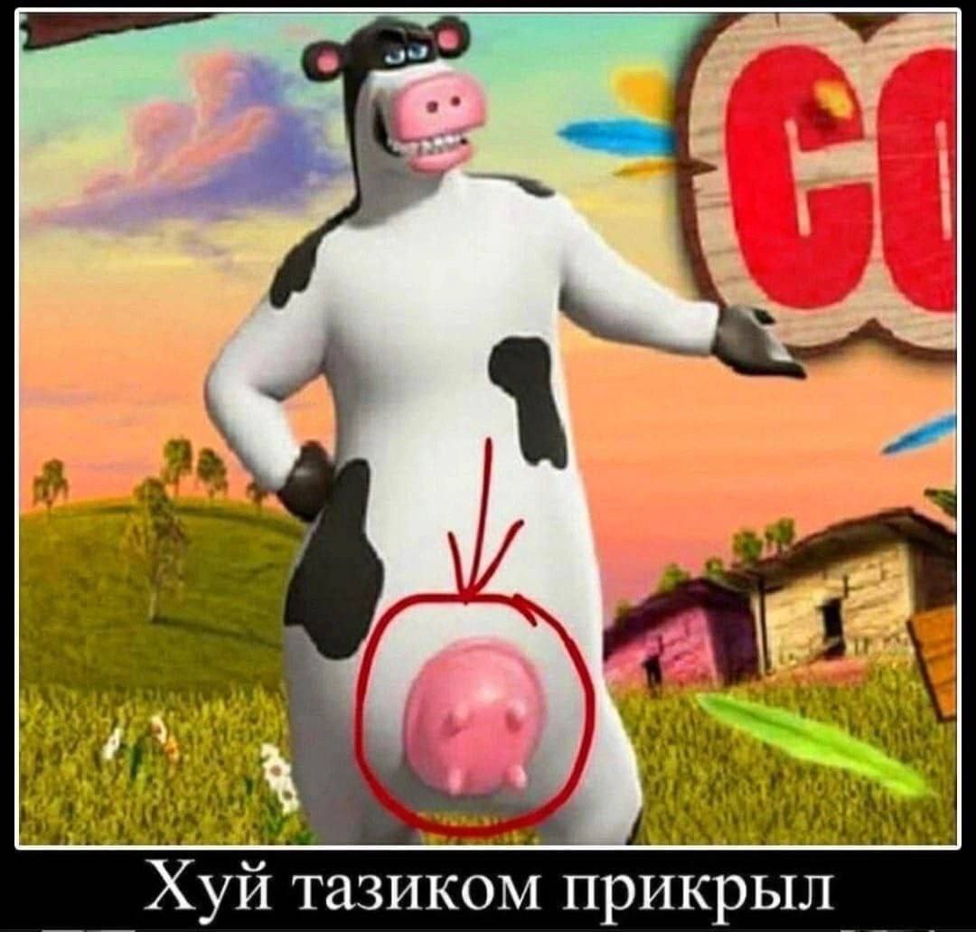 Хуй тазиком прикрыл