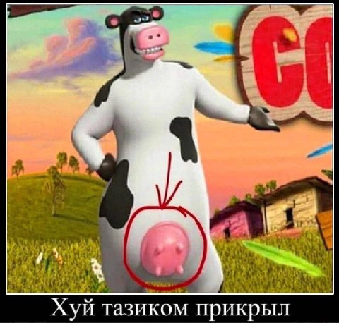 Хуй тазиком прикрыл