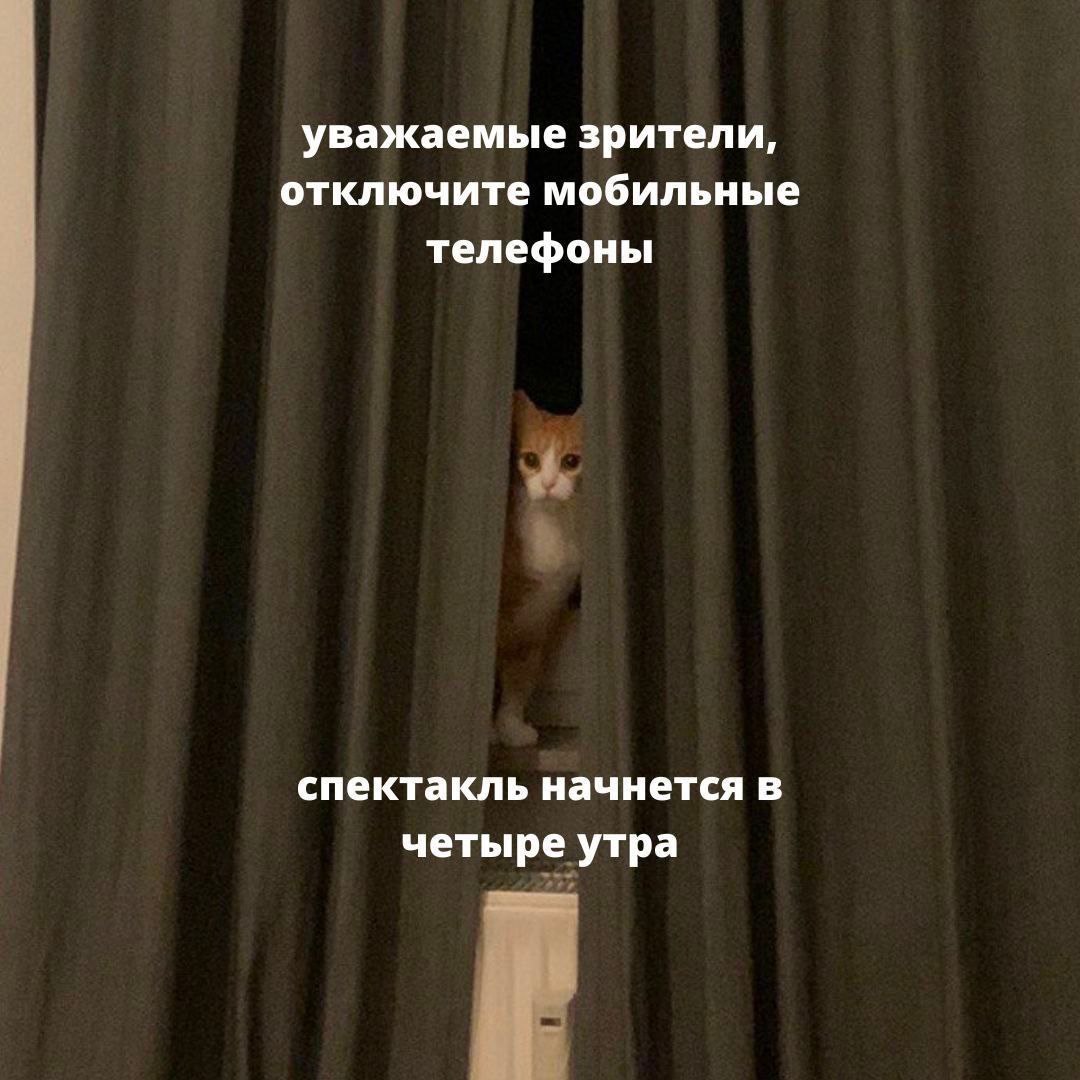 уважаемые зрители, отключите мобильные телефоны спектакль начнется в четыре утра