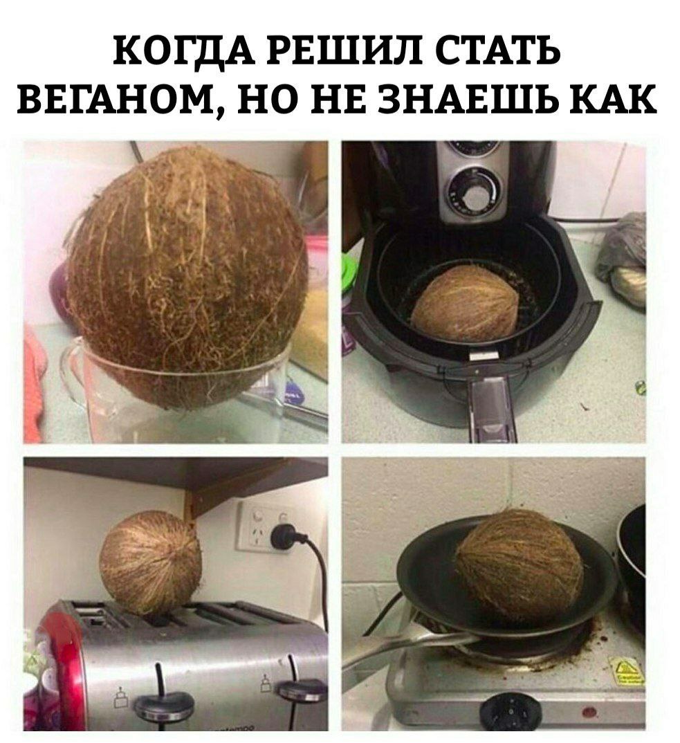 КОГДА РЕШИЛ СТАТЬ ВЕГАНОМ, НО НЕЗНАЕШЬ КАК