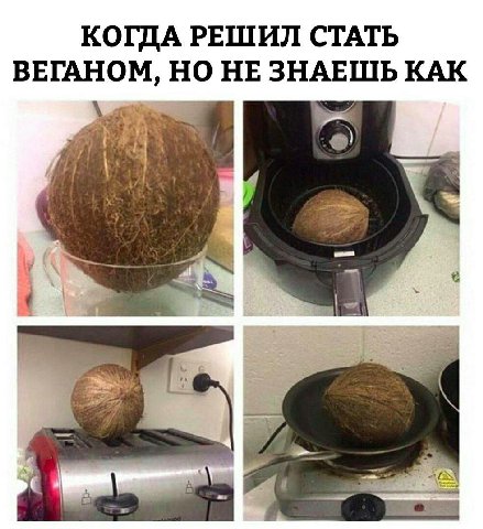 КОГДА РЕШИЛ СТАТЬ ВЕГАНОМ, НО НЕЗНАЕШЬ КАК