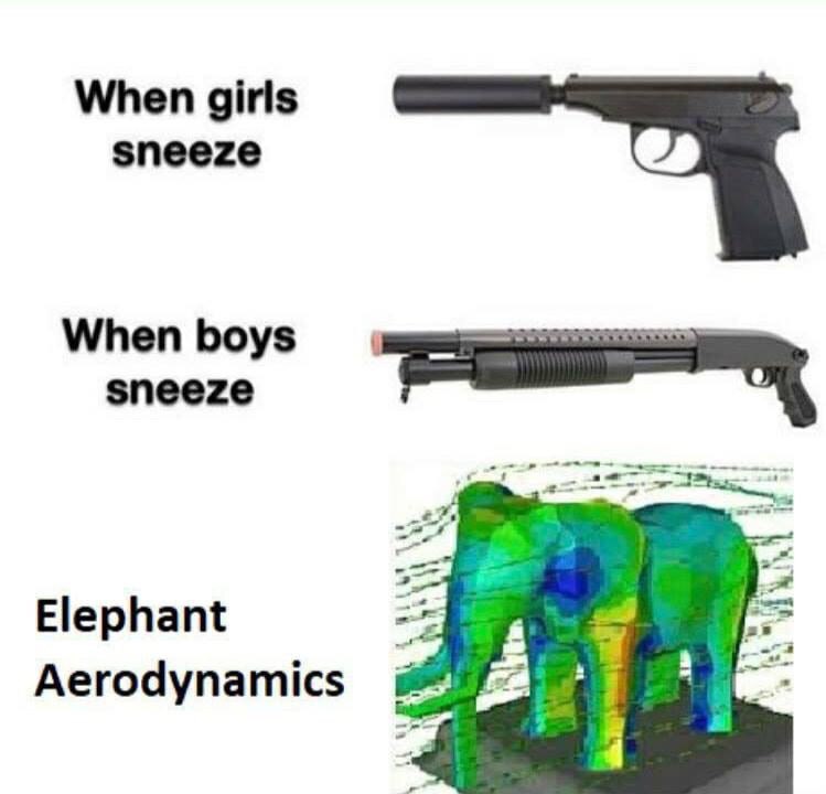 When girls sneeze When boys sneeze Elephant Aerodynamics