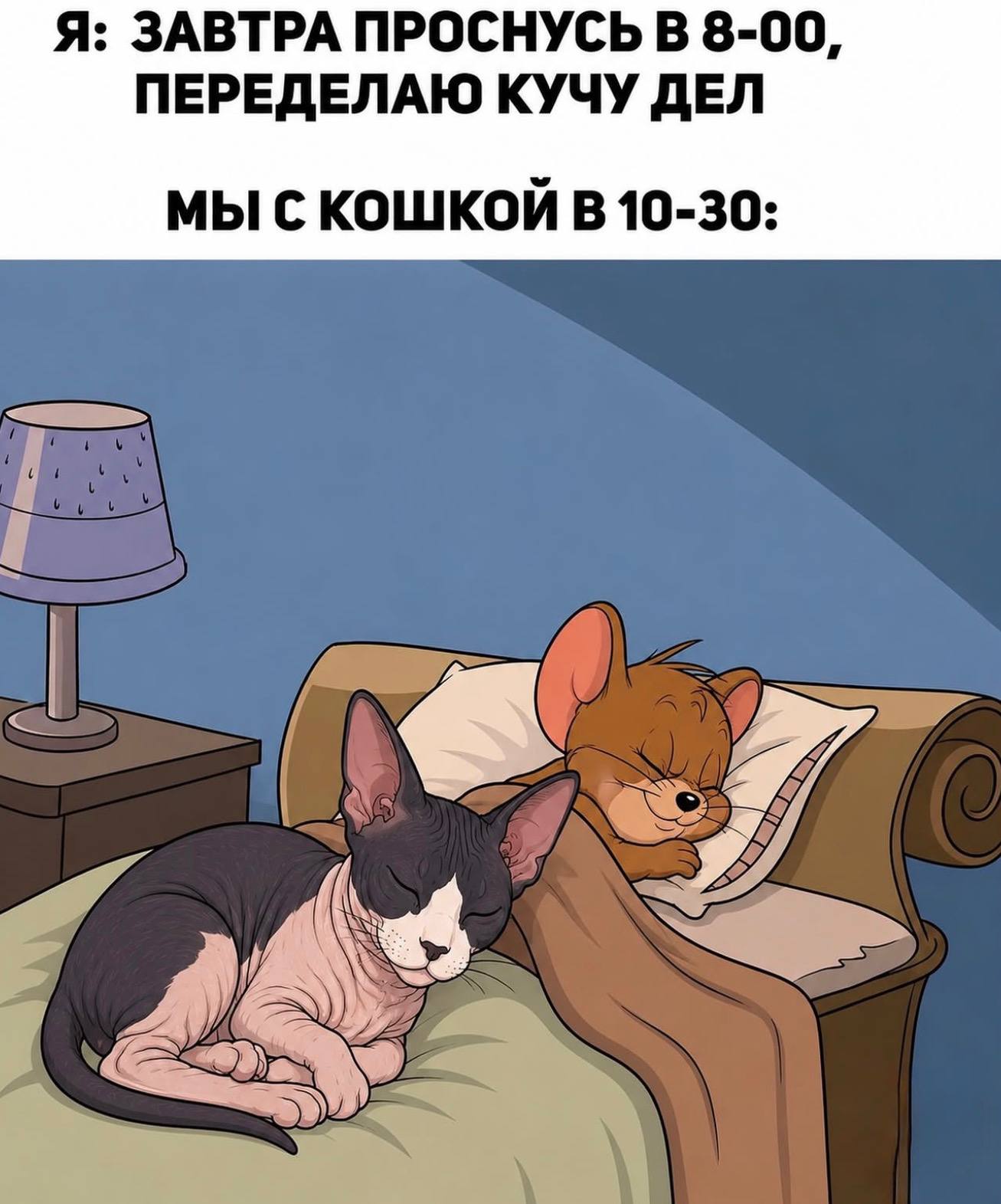 Я: ЗАВТРА ПРОСНУСЬ В 8-00, ПЕРЕДЕЛАЮ КУЧУ ДЕЛ МЫ С КОШКОЙ В 10-30: