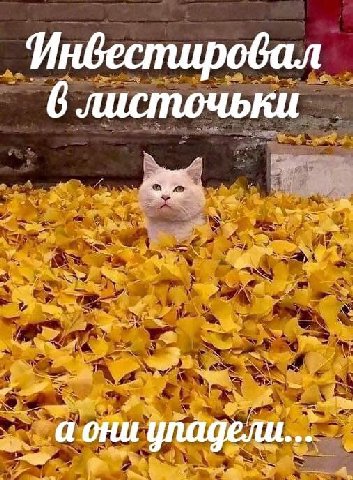 Инвестировал 6 листочьки аони упадели