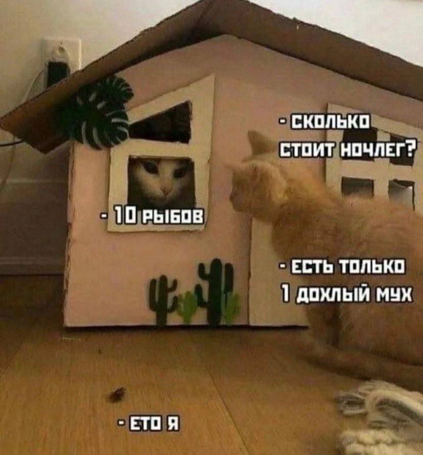 СКОЛЬКО СТОИТ 10 РЫБОВ ЕСТЬ ТОЛЬКО дохлый MYX ЕТО Я