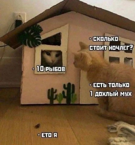 СКОЛЬКО СТОИТ 10 РЫБОВ ЕСТЬ ТОЛЬКО дохлый MYX ЕТО Я