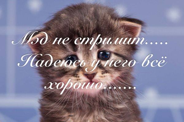 220 OCA AN