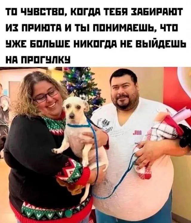 ТО ЧУВСТВО, КОГДА ТЕБЯ ЗАБИРАЮТ ИЗ ПРИЮТА И ТЫ! ПОНИМАЕШЬ, ЧТО УЖЕ БОЛЬШЕ НИКОГДА НЕ ВЫИДЕШЬ НА ПРОГУЛКУ wap у у