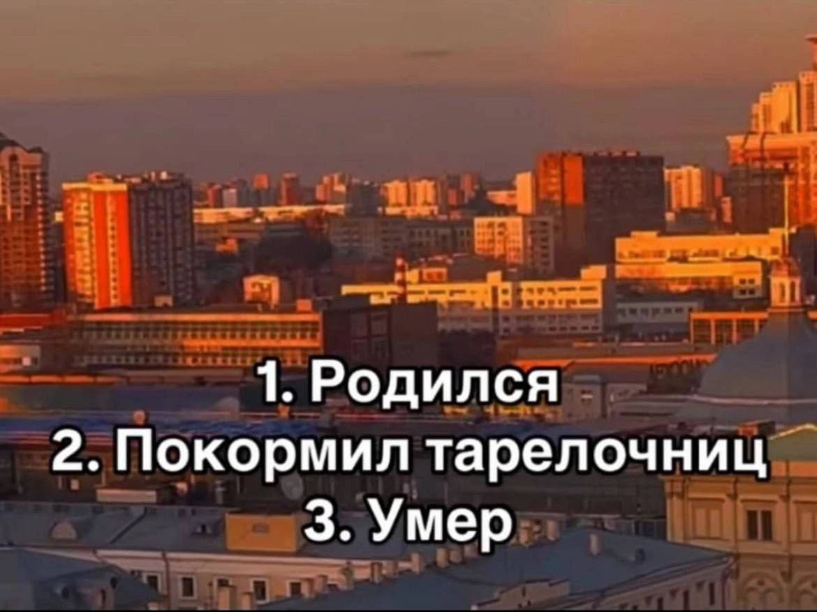 1. Родился 2. Покормил тарелочниц 3. Умер