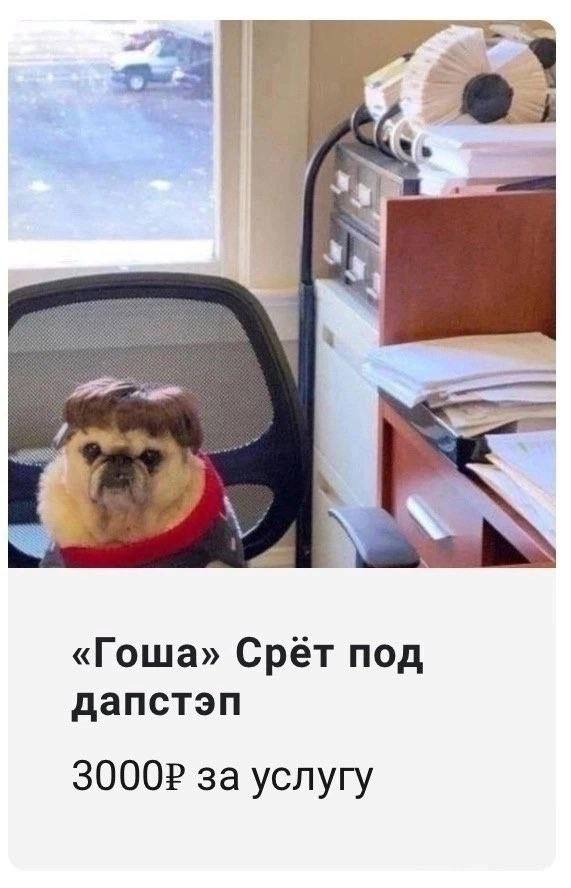 bal a «Гоша» Срёт под дапстэп за услугу
