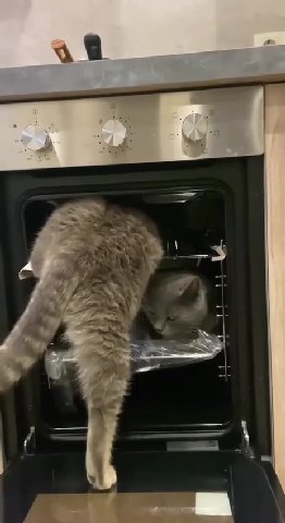 мем