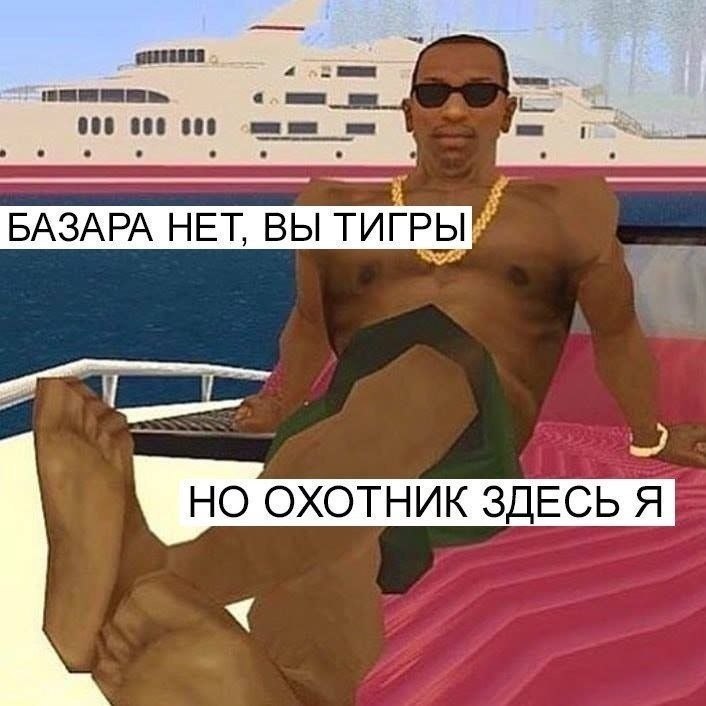 БАЗАРА НЕТ, ВЫ ТИГРЫ НО ОХОТНИК ЗДЕСЬ Я