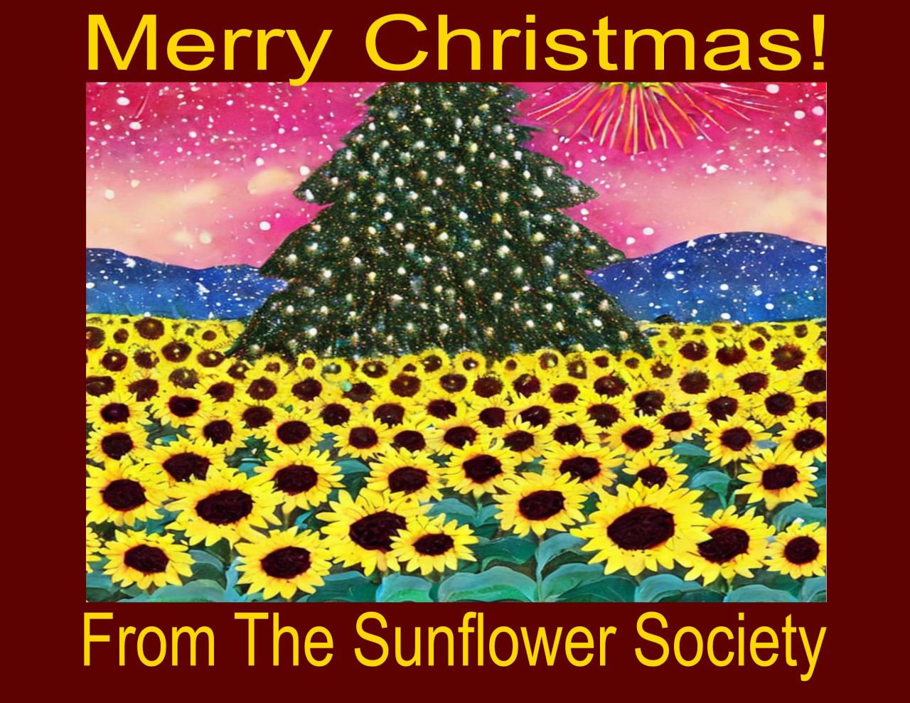 A Christmas card from us to you. Merry Christmas everyone!