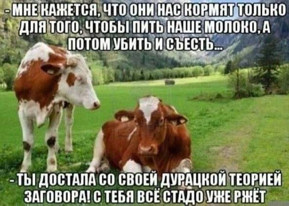 -МНЕ КАЖЕТСЯ. ЧТО ОНИ НАС.К КОРМЯТ ТОЛЬКО ДЛЯ ТОГО, ЧТОБЫ ПИТЬ "НАШЕ МОЛОКО. А лотом УБИТЬ К ДОСТАЛА СВОЕИ ДУРАЦКОИ ТЕОРИЕИ ЗАГОВОРА! С ТЕБЯ BCE СТАДО РЖЕТ