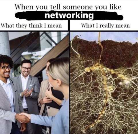 When you tell someone you like networking What they think I mean What I really mean A у i