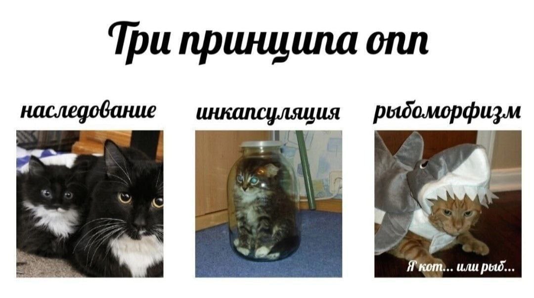 Три принципа onn наследование инкапсуляция 3 или рых...